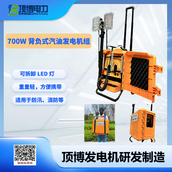 700w背負式汽油發(fā)電機組